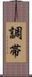 調帯 Scroll