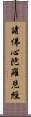 諸佛心陀羅尼經 Scroll