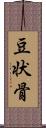 豆状骨 Scroll