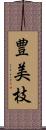豊美枝 Scroll