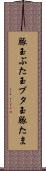 豚玉 Scroll