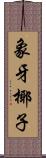 象牙椰子 Scroll