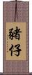 豬仔 Scroll