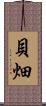 貝畑 Scroll