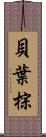 貝葉棕 Scroll