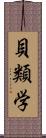 貝類学 Scroll