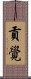 貢覺 Scroll