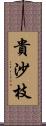 貴沙枝 Scroll