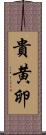 貴黄卵 Scroll