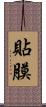 貼膜 Scroll