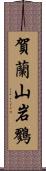 賀蘭山岩鷚 Scroll