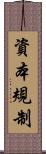 資本規制 Scroll