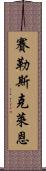 Cyrus Klein Scroll