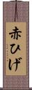赤ひげ Scroll