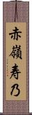 赤嶺寿乃 Scroll