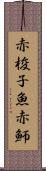 赤梭子魚 Scroll