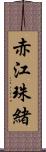 赤江珠緒 Scroll
