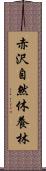赤沢自然休養林 Scroll