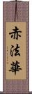 赤法華 Scroll