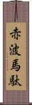 赤波馬駄 Scroll