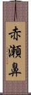 赤瀬鼻 Scroll