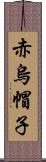 赤烏帽子 Scroll