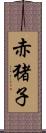 赤猪子 Scroll
