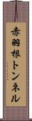 赤羽根トンネル Scroll