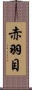 赤羽目 Scroll