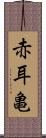 赤耳亀 Scroll