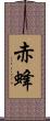 赤蜂 Scroll