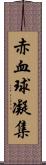 赤血球凝集 Scroll