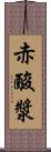 赤酸漿 Scroll