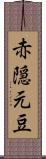 赤隠元豆 Scroll