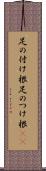 足の付け根 Scroll
