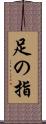 足の指 Scroll