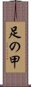 足の甲 Scroll
