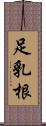 足乳根 Scroll