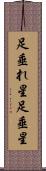 足垂れ星 Scroll