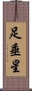 足垂星 Scroll