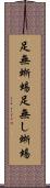 足無蜥蜴 Scroll