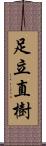 足立直樹 Scroll