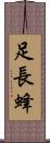 足長蜂 Scroll