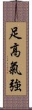 足高氣強 Scroll