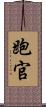 跑官 Scroll