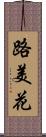 路美花 Scroll