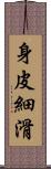 身皮細滑 Scroll