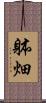 躰畑 Scroll