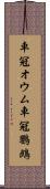 車冠オウム Scroll
