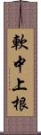 軟中上根 Scroll